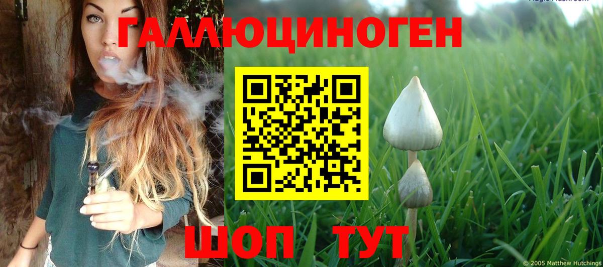 Кузнецк  хочу   Вход с VPN  Галлюциногенные грибы мицелий 
